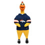 Denver Broncos NFL Rubber Chicken Pet Toy 13" H Cluckenberry Removable Jersey