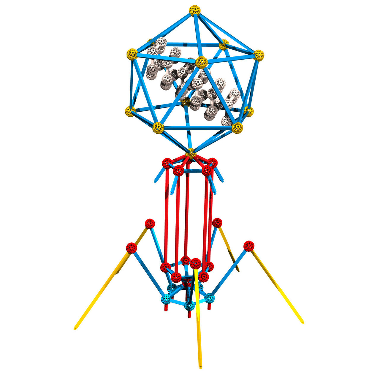 The STEAM kit - Zometool