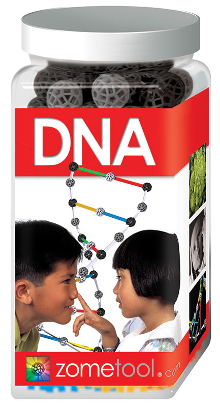 DNA molecule by Zometool