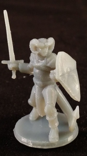 Tiefling Paladin with sword and shield