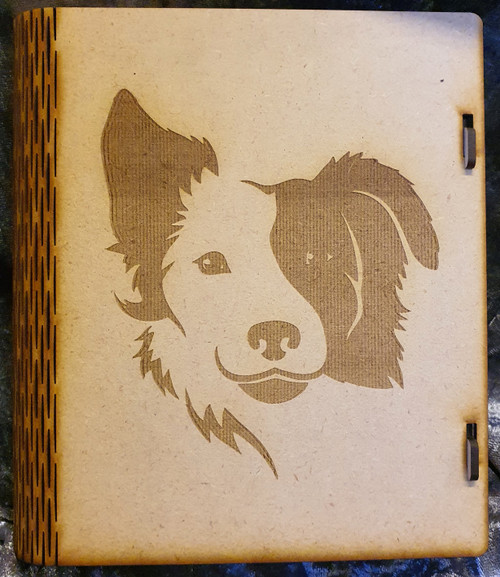 Border Collie Dog