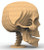 Kool Skull