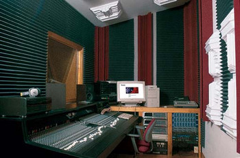 Auralex 6x 4" x 24" x 48" Studiofoam Wedge Panels, Charcoal Auralex 6x 4" x 24" x 48" Studiofoam Wedge Panels, Charcoal