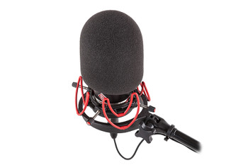 Rycote 45/100 Large Diaphragm Foam Windscreen Rycote 45/100 Large Diaphragm Foam Windscreen