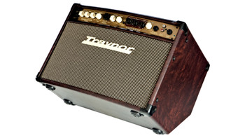 Traynor AM Studio 65 Watts Acoustic Guitar Amp Traynor AM Studio 65 Watts Acoustic Guitar Amp