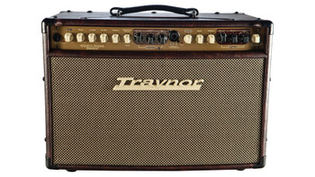 Traynor AM Standard 150W Stereo Acoustic Guitar Amplifier Traynor AM Standard 150W Stereo Acoustic Guitar Amplifier
