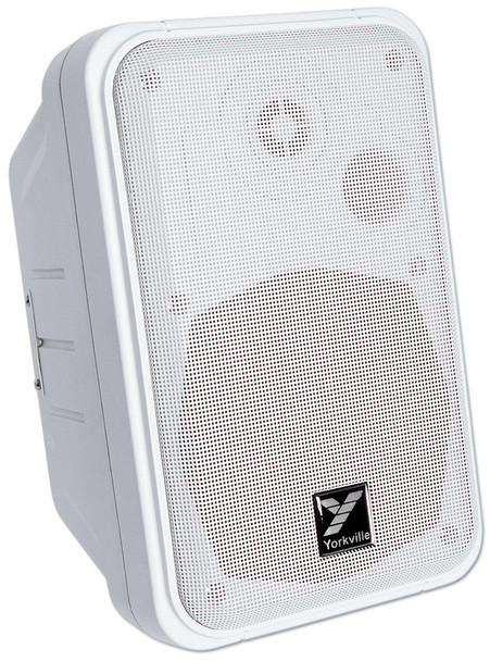 Yorkville Coliseum Mini Series C120 - 100 Watt Two-Way Passive Speaker