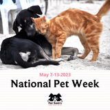 Honoring National Pet Week with CBD and Love