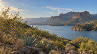 Desert Plants & Herbal Traditions: An Arizona Journey 