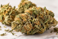 CBD Hemp Flower: Cannabinoids, Terpenes & Quality