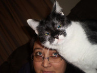 End of Life Pet Care with CBD