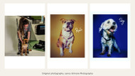 Rescue Dogs: Helping Them Adjust & Feel at Home