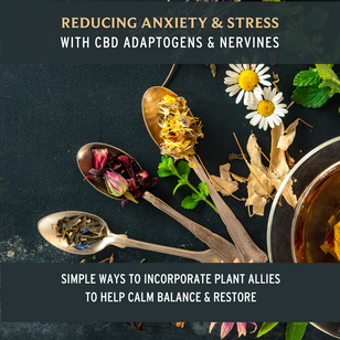 Reducing Anxiety & Stress with CBD, Adaptogens and Nervines 