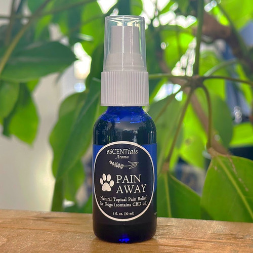 Pain Away is a topical pain reliever oil for dogs. Contains CBD and other dog safe essential oils to make a powerful anti-inflammatory oil for pain.
