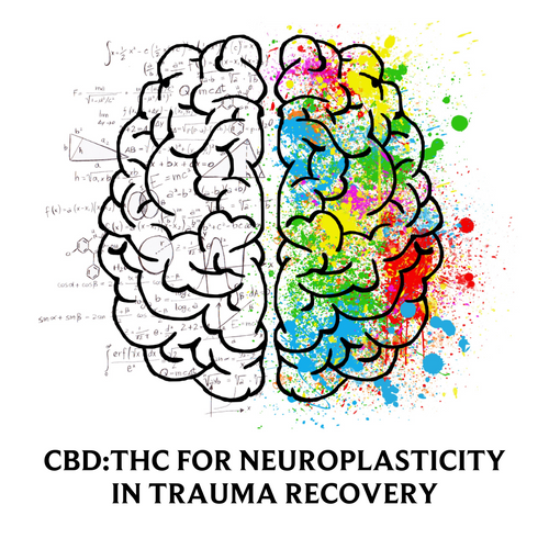 CBD for Neuroplasticity in Trauma Recovery