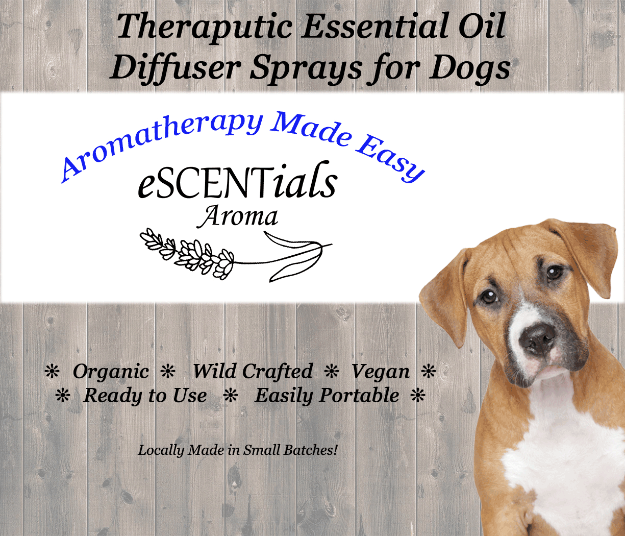 Aromatherapy for Dogs