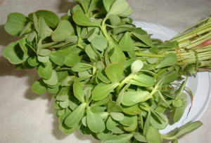 WATER CRESS بقله WATER CRESS بقله