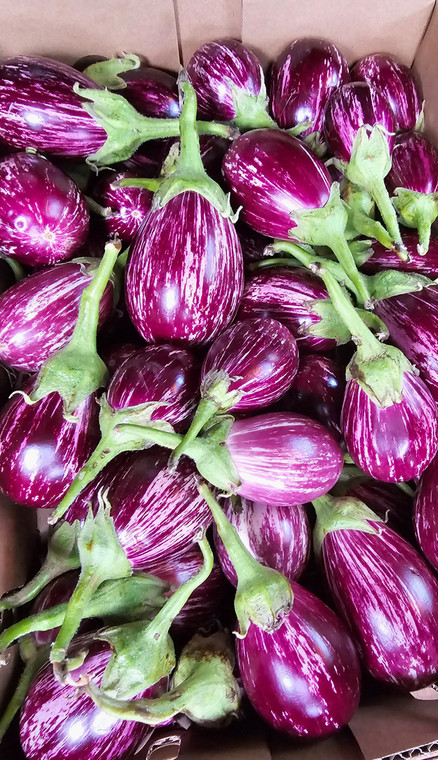 HOMSI MAKDOUS 3.250 KG