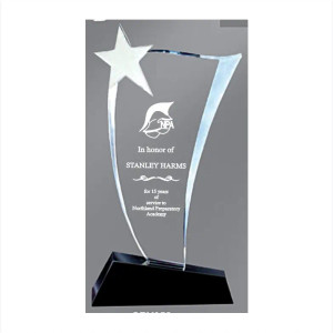 "Wave" Crystal Award with Silver Star