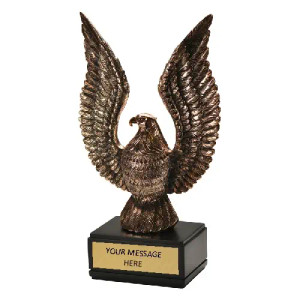 Traditional Eagle Resin Award