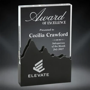 Black Elevation Glass Award
