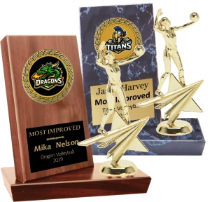 Classic Billboard  Volleyball Plaque Plaque