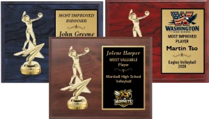 Classic Volleyball Plaque