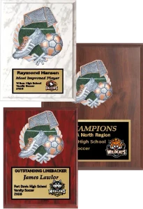 Sculptured Colored Relief Soccer Plaque
