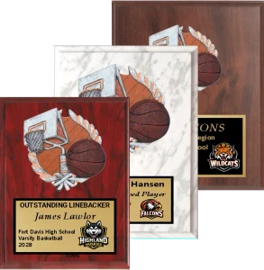 Sculptured Colored Relief Basketball Plaque