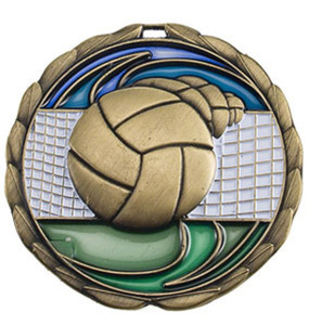 2 1/2"- CEM "Volleyball" Full Color Epoxy Medallion 2 1/2"- CEM "Volleyball" Full Color Epoxy Medallion