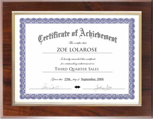 Economy Certificate Plaque Certificate Plaques Economy Certificate Plaque Certificate Plaques
