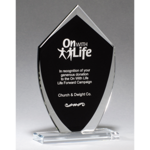 Shield Shaped Glass Award Shield Shaped Glass Award