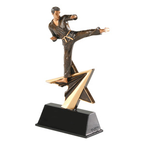 Karate "Star Power" Resin Sculpture Trophy - 7" Tall Karate "Star Power" Resin Sculpture Trophy - 7" Tall