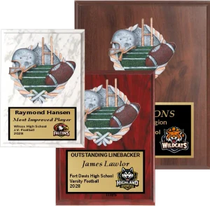 Sculptured Colored Relief Football Plaque