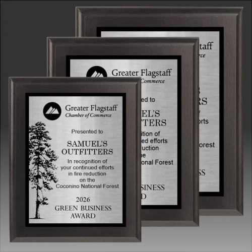 Silvertone Plate backed by Black Plate on Matte Black Plaque