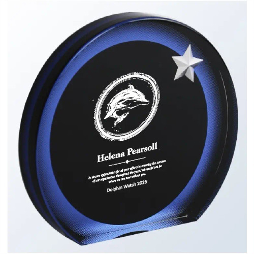 Blue Acrylic Circle Award