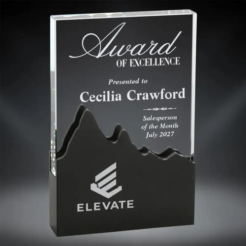 Black Elevation Glass Award