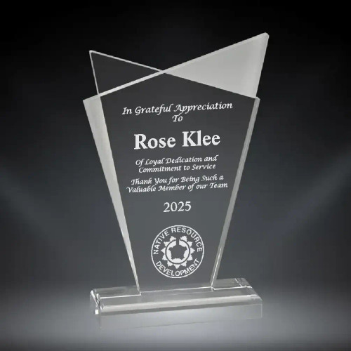 Infinity Clear Acrylic Award