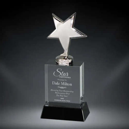 Metal Star Crystal Award
