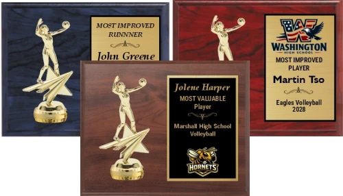 Classic Volleyball Plaque