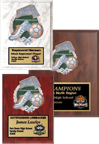 Sculptured Colored Relief Soccer Plaque