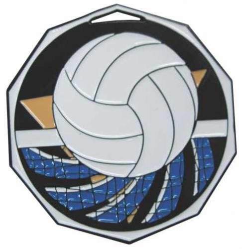"Volleyball" Decagon Full Colored Enamel Medal