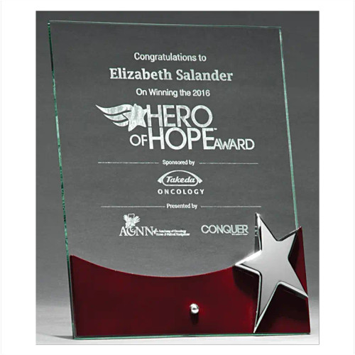 Silver Star Glass Award