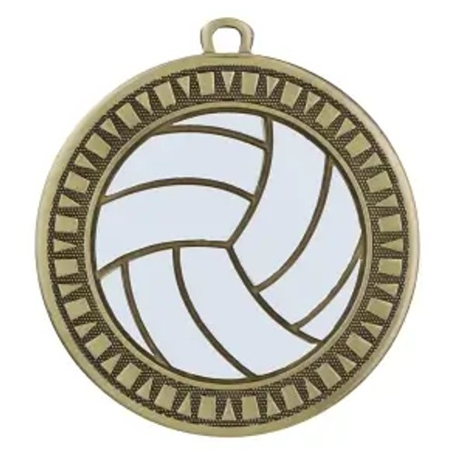 Volleyball Velocity Medal