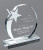"Shooting Star" Crystal Award