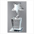 Silver Star Crystal Award