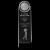 3D Golfer Crystal Award
