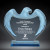 Blue Frosted Eagle Acrylic Award