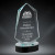 Freedom Crystal Award