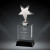 Metal Star Crystal Award
